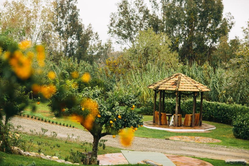 Bed and Breakfast Rancho Del Ingles Alhaurín de la Torre Exterior foto